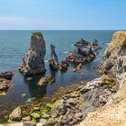 Aiguilles de Port-Coton