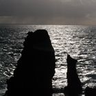 Aiguilles de Port Coton, Belle-île-en-mer