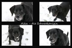 Aika - die Schneekönigin