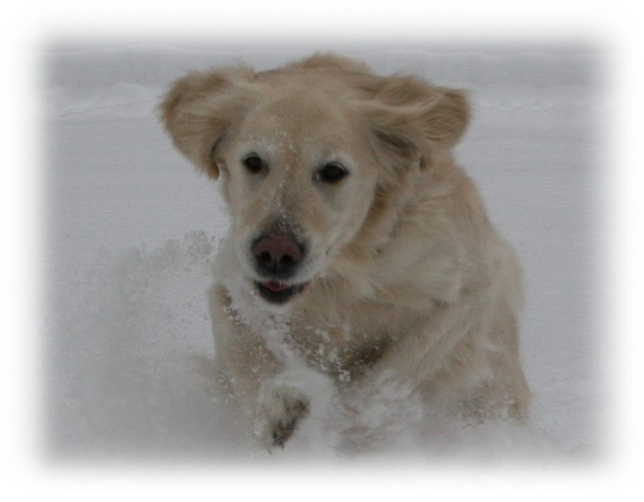 Aika im Schnee