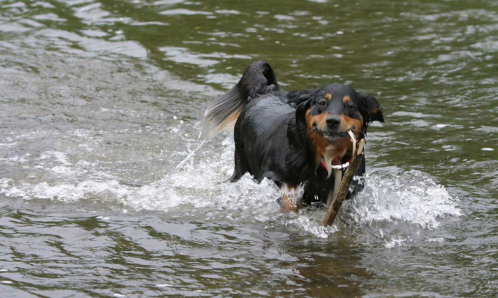 Aika im Wasser