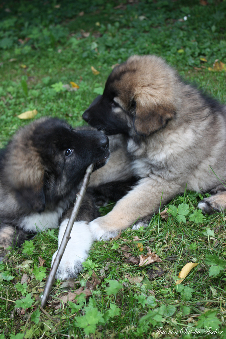 Aika und Alexi