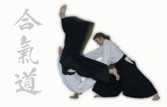 aikido 2