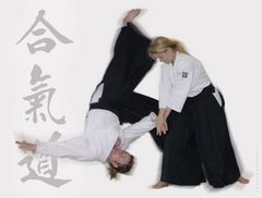 aikido 3