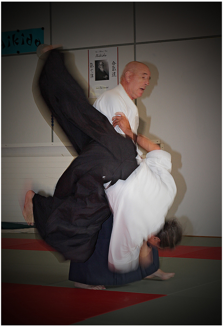 Aikido....