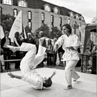 Aikido I