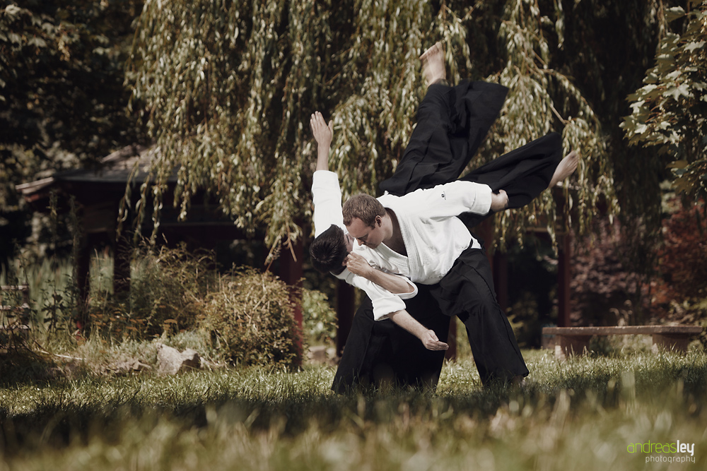 Aikido II