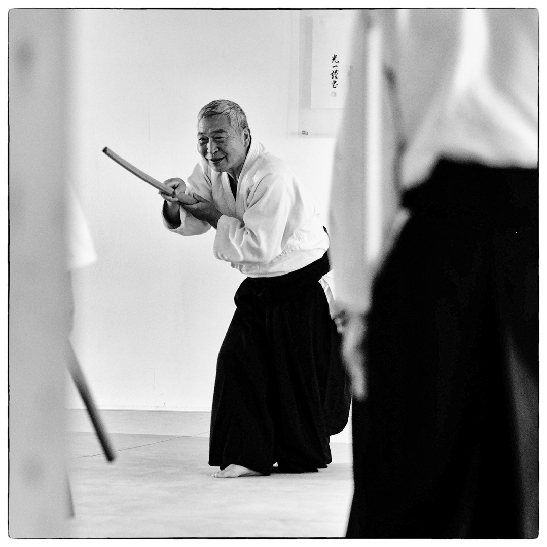 Aikido  (Kampf-) Kunst und Lebensweg