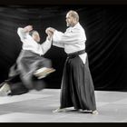 Aikido -- KUNST der Verteidigung