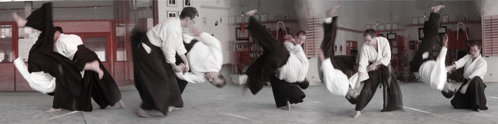 Aikido Techniken