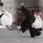 Aikido Techniken