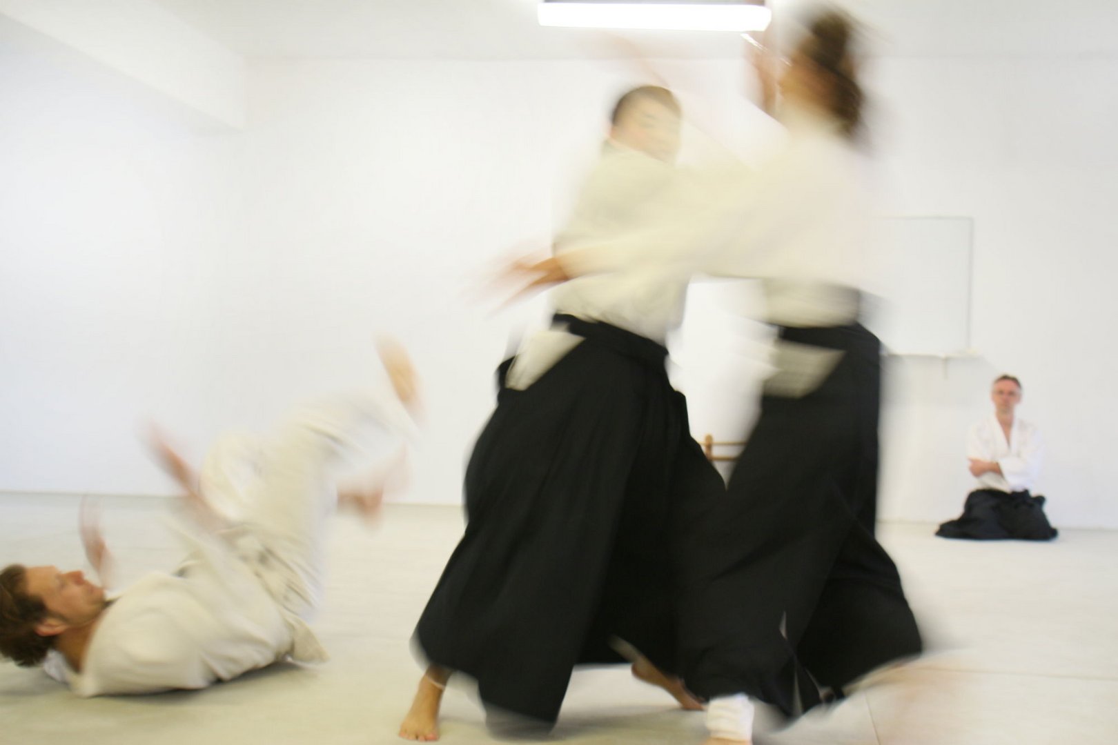 Aikido Training