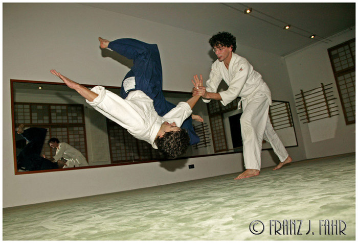 Aikido - Training