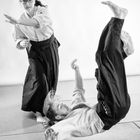 aikido3