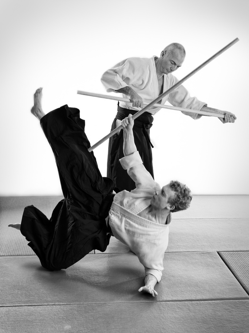 aikido5