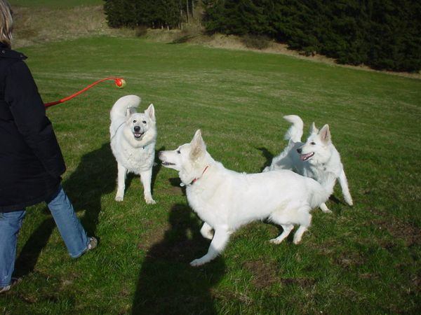 Aiko, Jamila & Chenoa