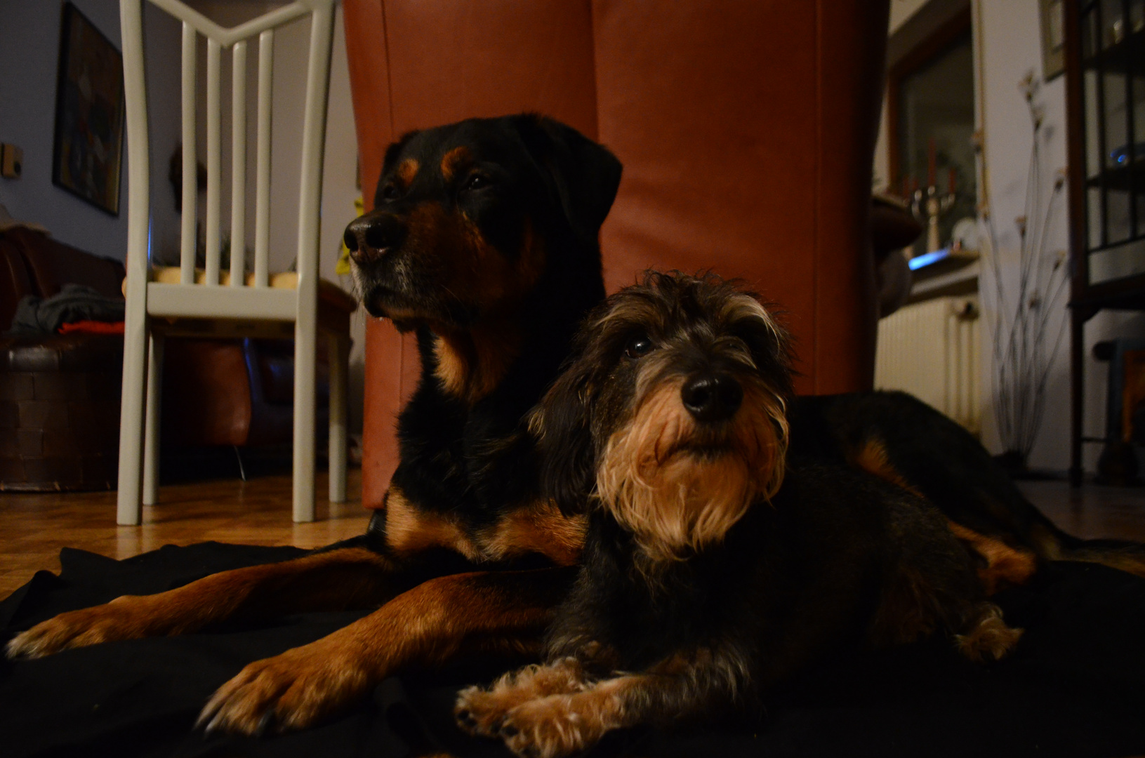 aiko und Lizzie =)