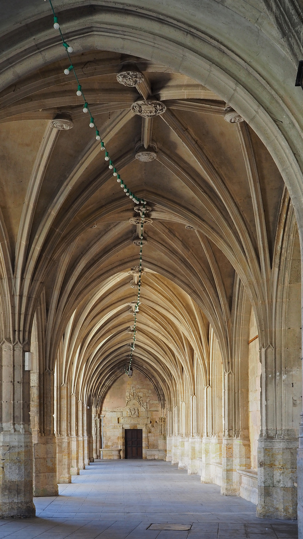 Aile sud du cloître de Condom (XVIème)