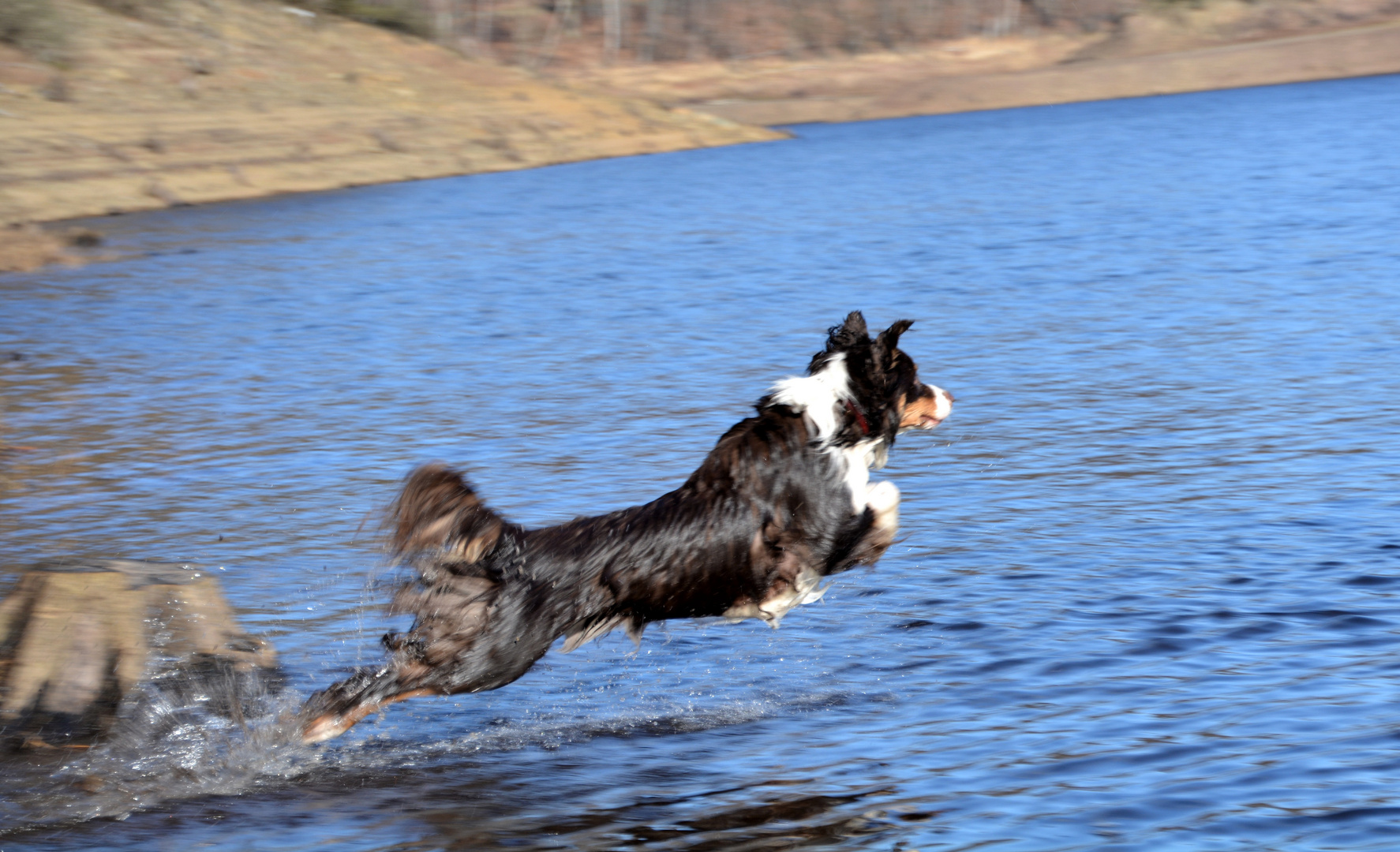 aime l'eau, plouffff