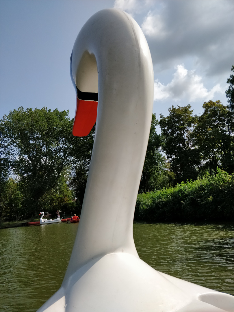 Aimez-vous Swan?