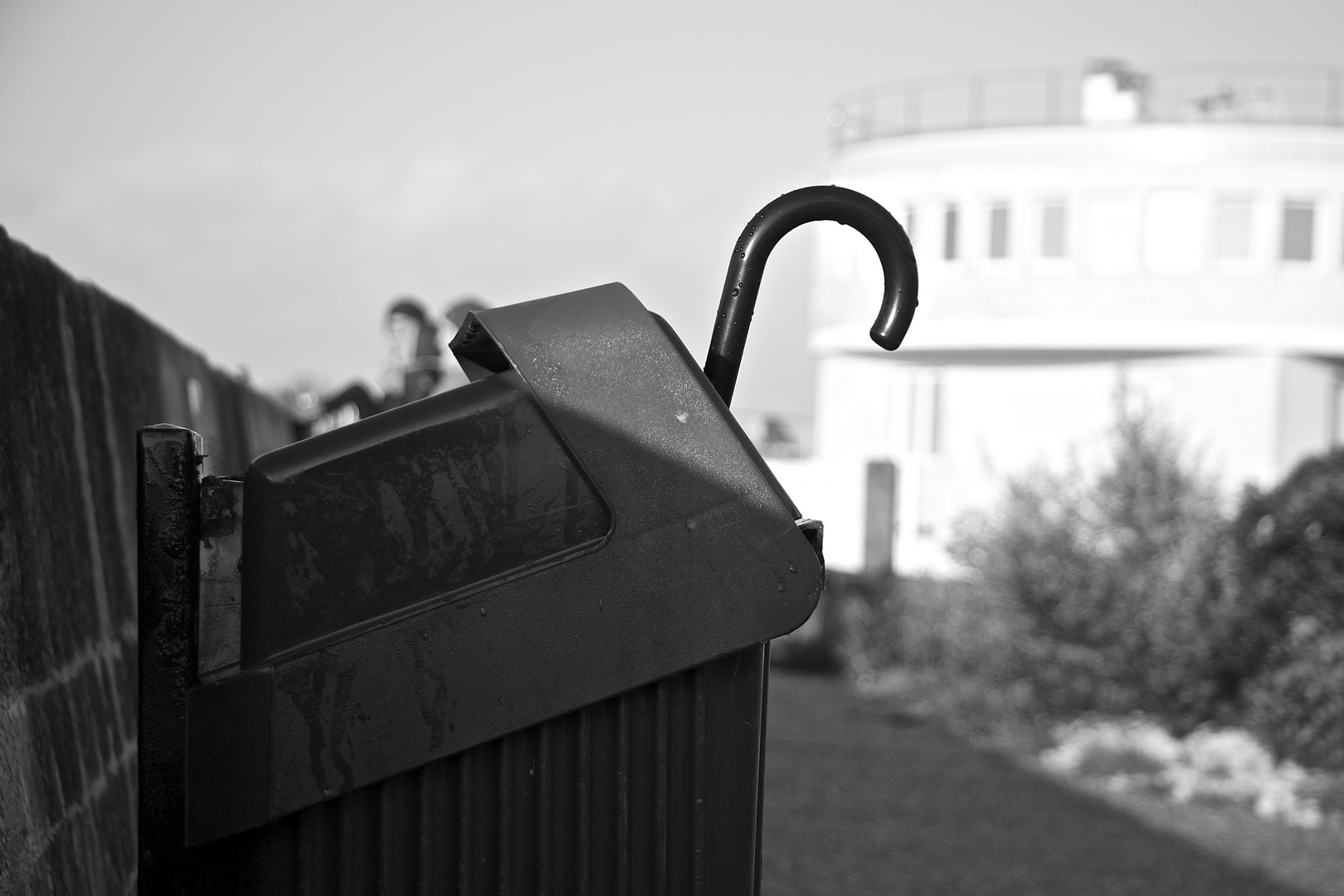 Ainsi finissent les baleines.......de parapluie.