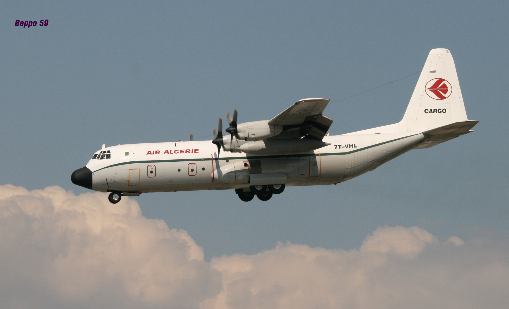 Air Algerie Cargo