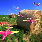 Air attack to hay bales and collateral damages