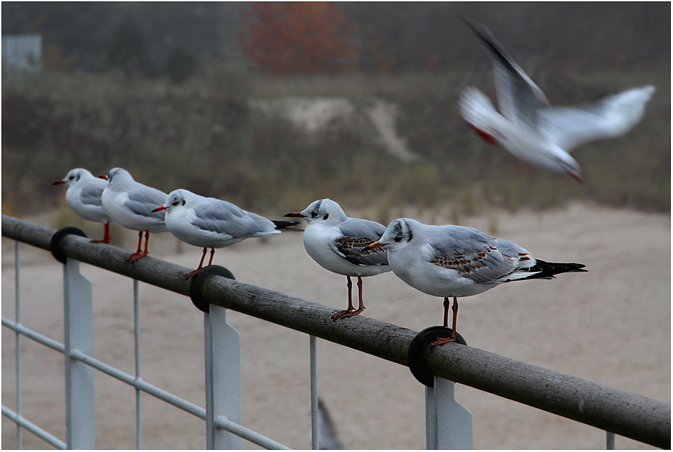 ... Air Base...