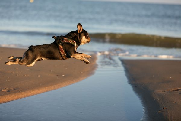 Air Benny on the beach