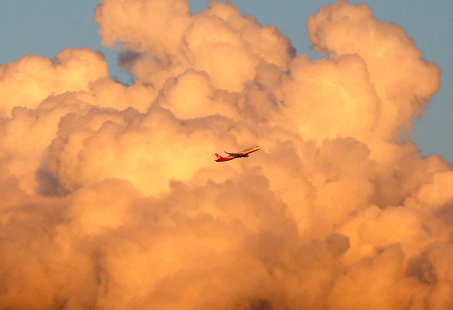 Air Berlin - wohin geht die Reise?