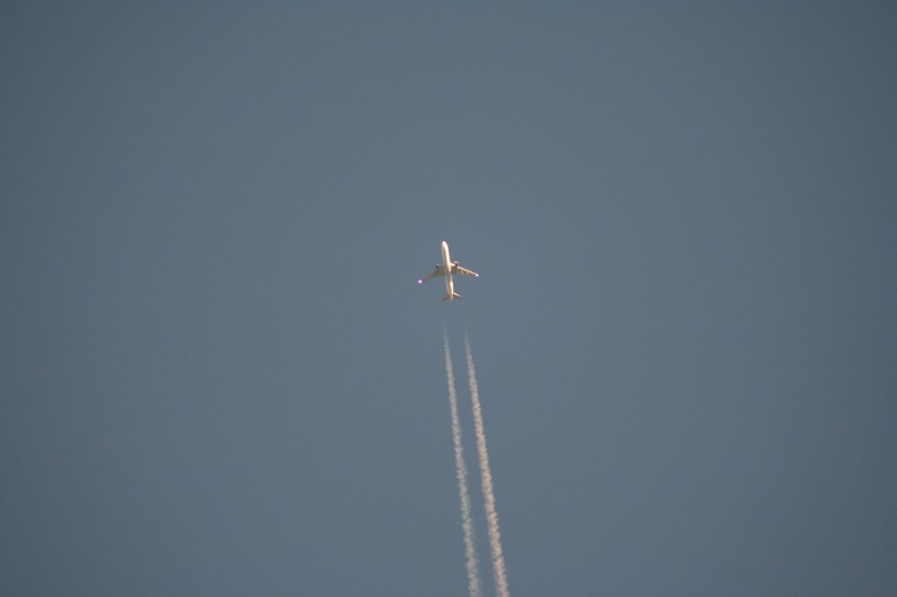 ------ Air Liner ------