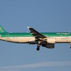 AIR LINGUS