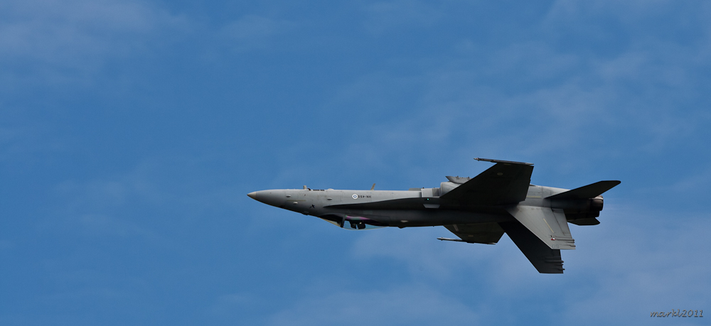 Air Tattoo 2009 - Hornet #1