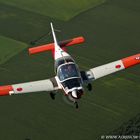 Air-to-Air Bulldog T1