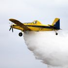 Air Tractor, en combate de fuego