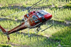 air Zermatt Transport......