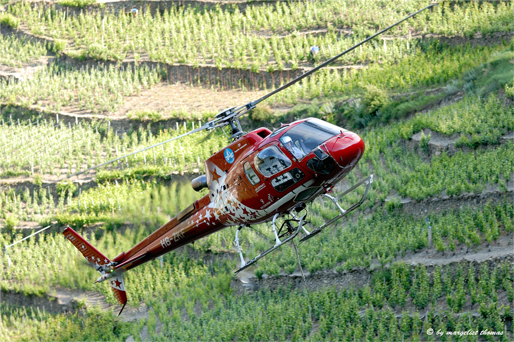 air Zermatt Transport..........