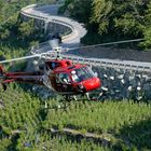 air Zermatt Transport........
