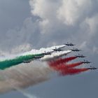 AIR14 #76 'Frecce Tricolori'