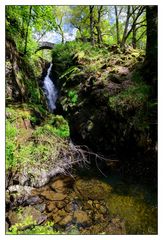 Aira Force