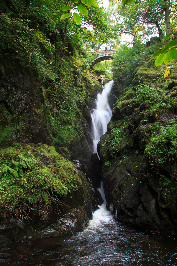 Aira Force ...