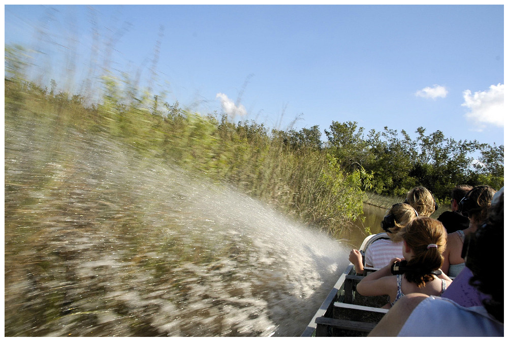 Airboat - Everglades