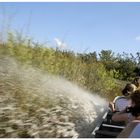 Airboat - Everglades