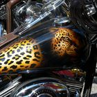 Airbrush - Jaguar