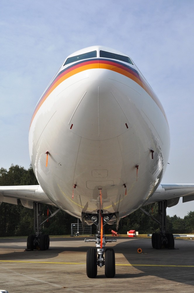 Airbus A-310 VIP(2)