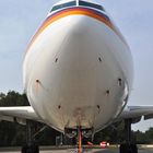 Airbus A-310 VIP(2)