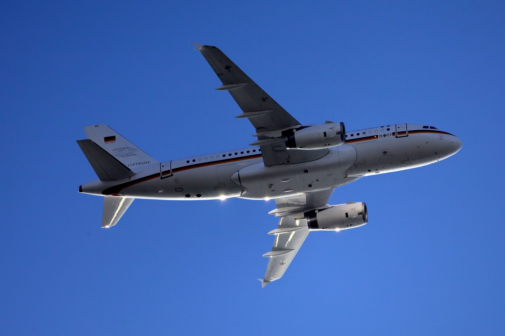 Airbus A-319CJ "Open Skies"