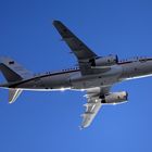 Airbus A-319CJ "Open Skies"