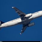 Airbus A-320-232 bmi British Midland Star Alliance