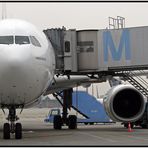 Airbus A 330-200 Dubai Emirates I